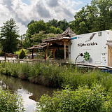 Barista/tka brigádník