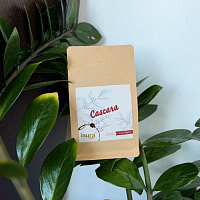 Cascara